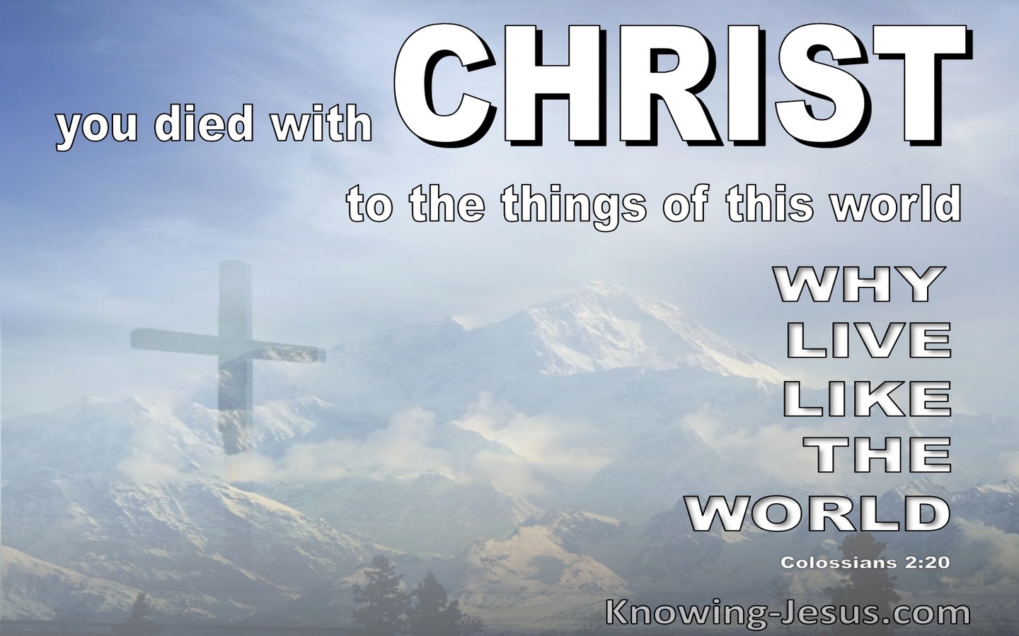 Colossians 2:20 You Died With Christ To The Things Of The World (white)